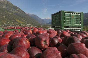 Meraner Herbst