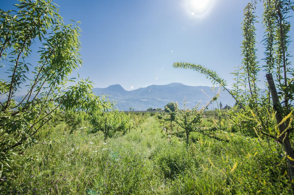 Urlaub für Kurzentschlossene